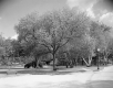 Town of Proctor