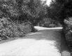 The Drive of Mortimer R. Proctor