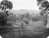 Chipman Hill and Otter Creek