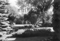 Gardens at Wainwright House