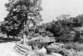 Hill Stream Bridge