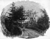 Children on Bridge