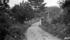 Dirt Road to Triangular Bridge