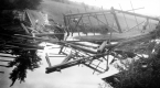 Bridge Collapse