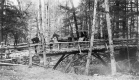 Timber Bridge in Crowell Park