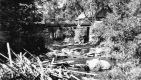 Bridge 39