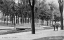 Taylor Park