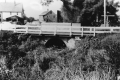 Arch Bridge with Plants