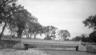 Concrete Bridge