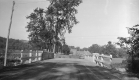Bridge 8