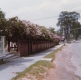 Seymour Street