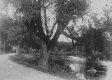 Dirt Road Along the River