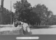 Dog Drinking from Water fountain