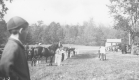 Horse show on Rural Fairgrounds