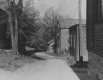 Frog Hollow district