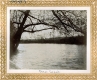 View of Otter Creek