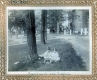 Children Sitting on Lawn