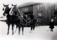 Child and Horses Outside Barn
