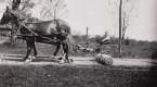 Child on Set of Disc Harrows