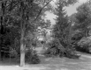 Senator Proctor's House