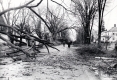 Windstorm Damage on South Street