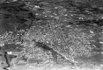 Aerial Photograph of Rutland