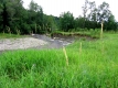 Bend in Little River in showing grassy outlook.