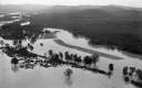 Aftermath of the 1938 Hurricane in Ripton-South Lincoln 