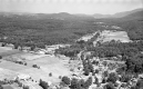 Forest Dale Village