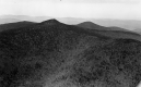 Forested Mountain Peaks