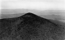 Forested Mountain