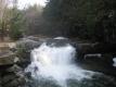 Bartlett's Falls