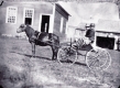 Boys in Carriage