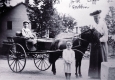 Boy Driving Pony and Cart