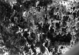 Aerial Photograph of Mulin Hill