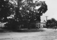 Village view
