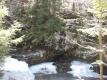 Bartlett's Falls