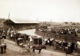 Addison County Fair