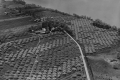 Aerial of a Farm