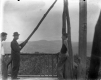 Three Men on a Deck