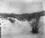 Snow-covered Valley