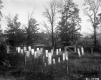 County Cemetery