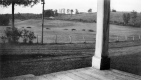 Warden Fields