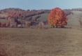 Warden Farmhouse with Foliage