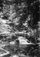 Benjamin Falls