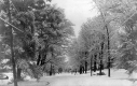 Winter Street Scene in Berlin