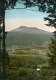 Camel's Hump Framed by Trees