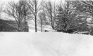 Snowy Street