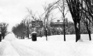 Winter Scene
