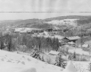 Snow Scene